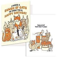 Crazy Dog T-Shirts Bunch of Cats Don't Care Birthday Card Funny Animal B-Day Card Birthday Funny Cat Bunch of 1 Pack