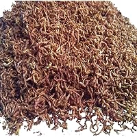 Aquatic Foods Bloodworms, Freeze Dried Fresh Grade A Floating Bloodworms for All Tropical Fish, Bettas, Discus, Cichlids, Community Fish, Turtles, Carnivores. Shipped from Calif, USA... 10-lbs