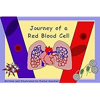 Journey of a Red Blood Cell