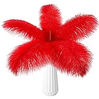 THARAHT 24pcs Red Ostrich Feathers Natural Bulk 8-10Inch 20cm-25cm for Wedding Party Centerpieces Easter Gatsby and Home Decorate Ostrich Feathers