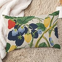 ArogGeld Chinoiserie Style Lumbar Throw Pillow Cover Summer Lemon Strawberry Garden Pillow Covers Red Yellow Blue Strawberry Fruit Accent Pillow for Living Room Bedroom 12x20in White Flax