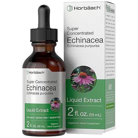 Horbäach Echinacea Drops Liquid Extract | 2 fl oz | Super Concentrated Tincture | Alcohol Free, Vegetarian, Non-GMO, and Gluten Free