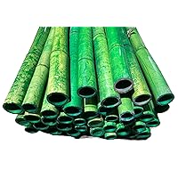 6 Feet Long Natural Thick Bamboo Poles - 1.5in - 2in Wide - Pack of 2 (Green)