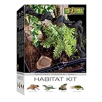 Exo Terra Rainforest Habitat Kit For Reptile, Glass (includes PT2602) - Small