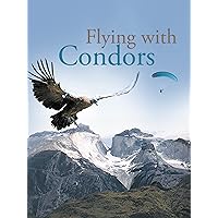 Flying with Condors