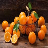 Effects of orange fruit