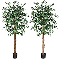 6ft Ficus Artificial Trees with Realistic Leaves and Trunk, Silk Fake Ficus Tree with Plastic Nursery Pot, Faux Ficus Tree for Office Home Farmhouse for Indoor Outdoor Decor(Set of 2)