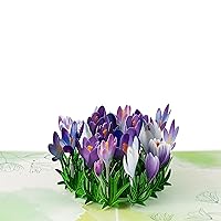 Pop Up Card, Crocus Flower, Mother Day, Father Day, Valentines Day Card, Love Card, Anniversary Card, Thank You Card, All Occasions