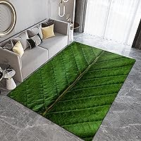 Creative Green Plant Detail of Leaf Veins Bedroom Area Rug, Natural Minimalist Art Indoor Decor Area Rugs Pad, Easy Clean Carpet with Anti-Slip Backing Durable for Living Room Front Door Porch 6x9ft