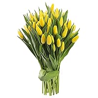 Blooms2Door PRIME NEXT DAY DELIVERY - 50 Yellow Tulips .Gift for Birthday, Sympathy, Anniversary, Get Well, Thank You, Valentine, Mother’s Day Fresh Flowers