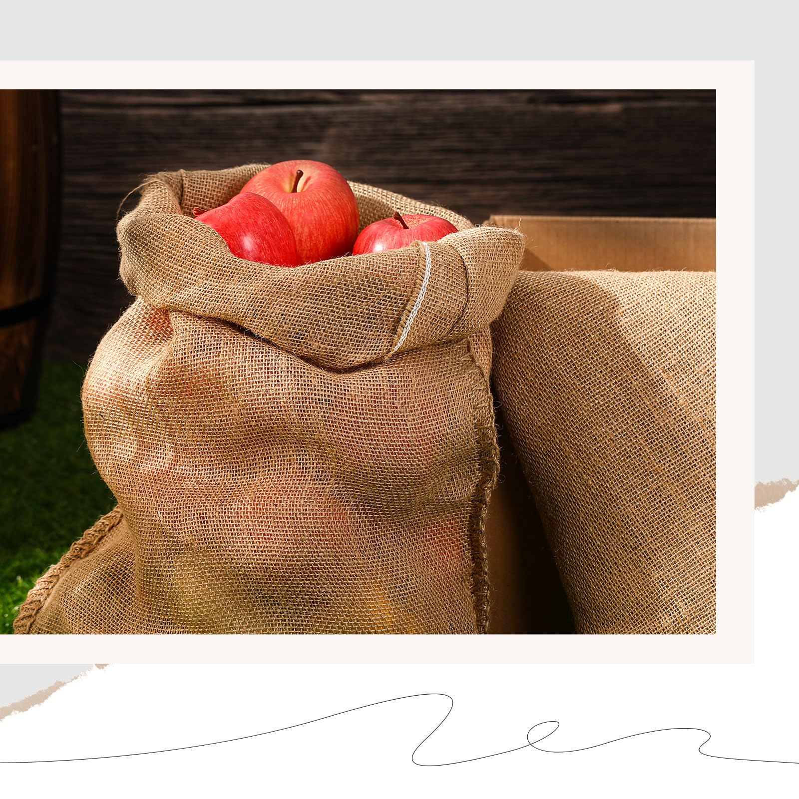 Vejibag Vegetable Storage Bags to Keep Produce Fresh, 3 Sizes, 4 Set  Options on Food52