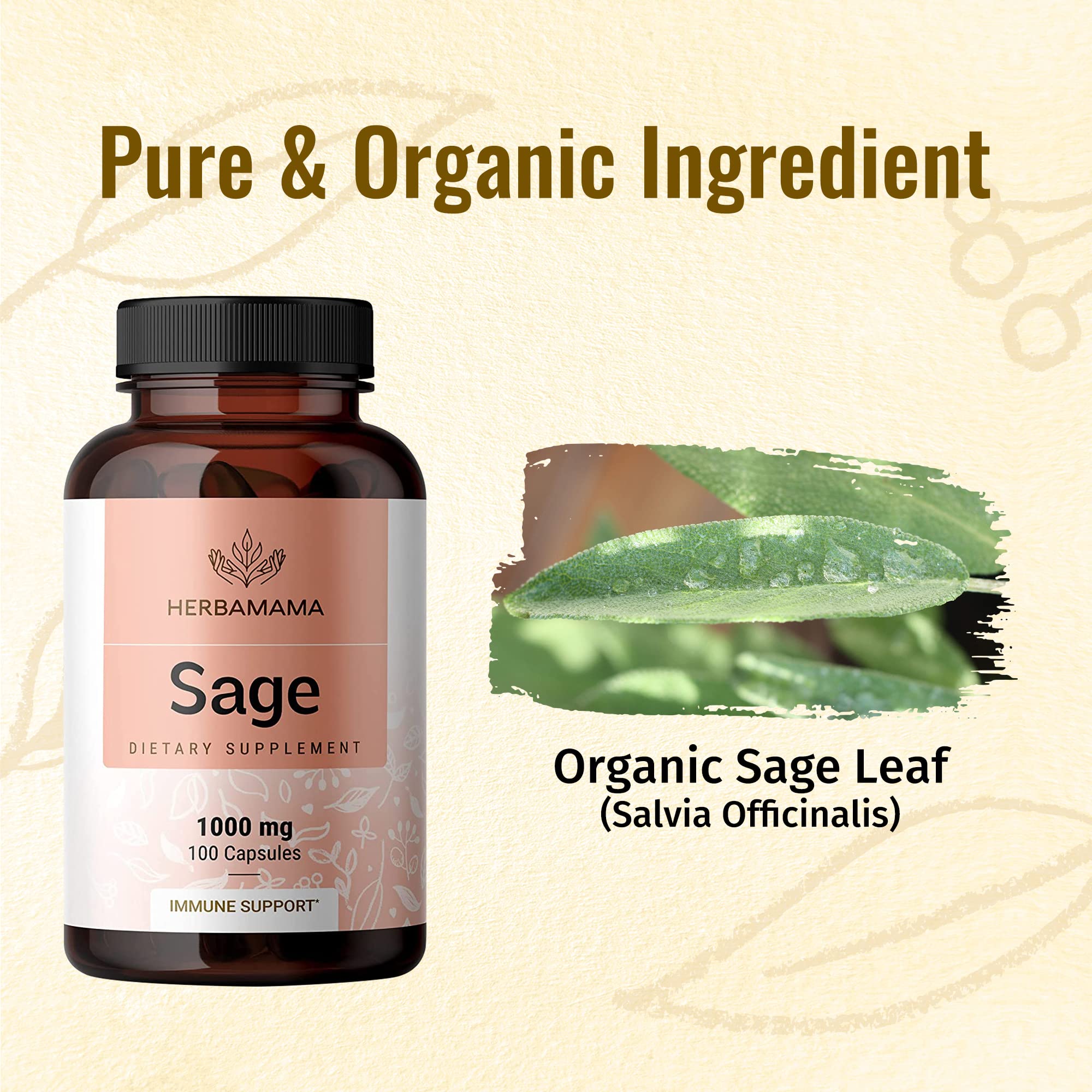 HERBAMAMA Sage Capsules - 1000mg, 100 Capsules - Organic Salvia Officinalis Supplement Promoting Brain Function, Immunity & Digestive Wellness - Vegan, Non-GMO Sage Leaf Extract