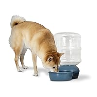Aspen Pet LeBistro Gravity Waterer for Cats and Dogs, Made in USA