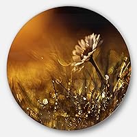 Vintage Wild Sunset Modern Flower Circle Wall Art - Disc of 23, 23X23-Disc of 23 inch, Gold