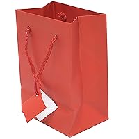 Matte Laminated Euro Tote Paper Gift Bag Bundle