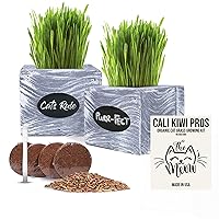Best Value Organic Cat Grass kit (Never Out of Grass),Seed and Soil for 3 Growing Cycles, Gifts to Cats as Natural Hairball Remedy. (White Wash)