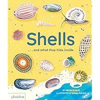 Shells... and what they hide inside: A Lift-the-Flap Adventure