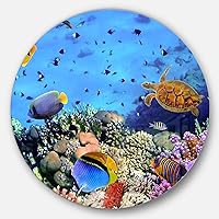 MT6825-C11 Coral Colony & Coral Fishes - Seascape Photo Large Disc Metal Wall Art - Disc of 11