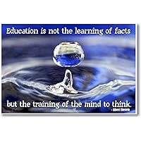 Education Is Not the Learning of Facts but the Training of the Mind to Think - NEW Classroom Motivational Poster