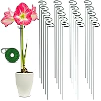 36 Inch 20 Pack Tall Plant Support Stakes – Heavy-Duty Single Stem Flower Stakes for Indoor and Outdoor Garden Plants – Amaryllis, Peony, Dahlia, Gladiolus, Orchid, Tomato