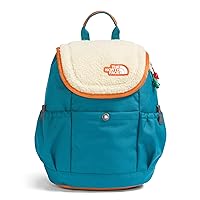 THE NORTH FACE Kids' Mini Explorer Backpack, Blue Moss/Gravel/Desert Rust, One Size