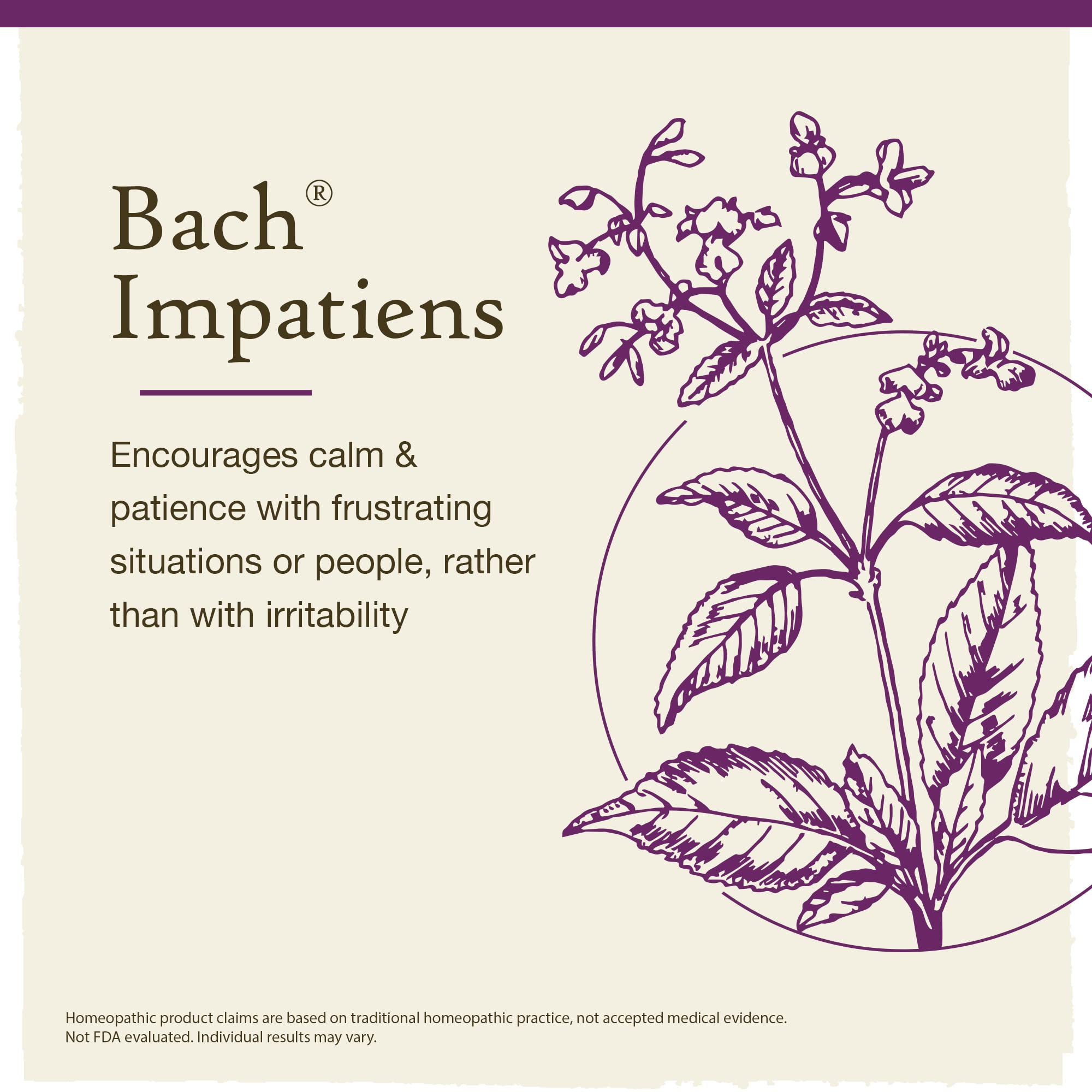 Bach Original Flower Remedies, Impatiens for Patience (Non-Alcohol Formula), Natural Homeopathic Flower Essence, Vegan, 10mL Dropper