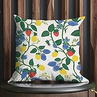 Summer Cherry Lemon Citrus Garden Throw Pillow Covers Strawberry Fruit Season Cushion Cover Pillow Cover Retro Throw Pillow Covers Farmhouse Decorative for Sofa Couch Living Room 16x16 in
