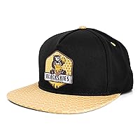 Good Things Inc. Snapback Cap | Ladies Men Baseball Cap Baseball Cap Black Honeycomb Gold Honey Bear bee