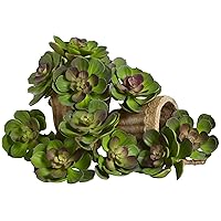 Nearly Natural 5in. Echeveria Succulent Plant (Set of 12)