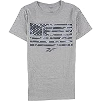 Reebok Mens Stars and Stripes Graphic T-Shirt, Grey, X-Large