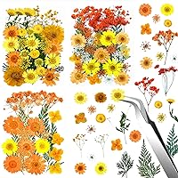 90Pcs Dried Pressed Flowers – 3 Pack Natural Dried Flower Herbs Kit for Scrapbooking, Resin Jewelry, Card Making, Soap and Candle Making