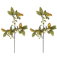 Artificial Autumn Flowers 29 Inch Faux Spray Loquat Fake Fruit Plant Fall décor for Home, Wedding, Craft Work, Thanksgiving, Fall Floral Arrangements Decoration, Set of 2, Cream