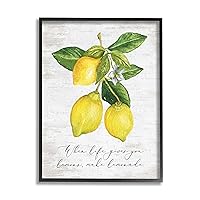 Stupell Industries Life & Lemons Phrase Framed Giclee Art by Lettered and Lined