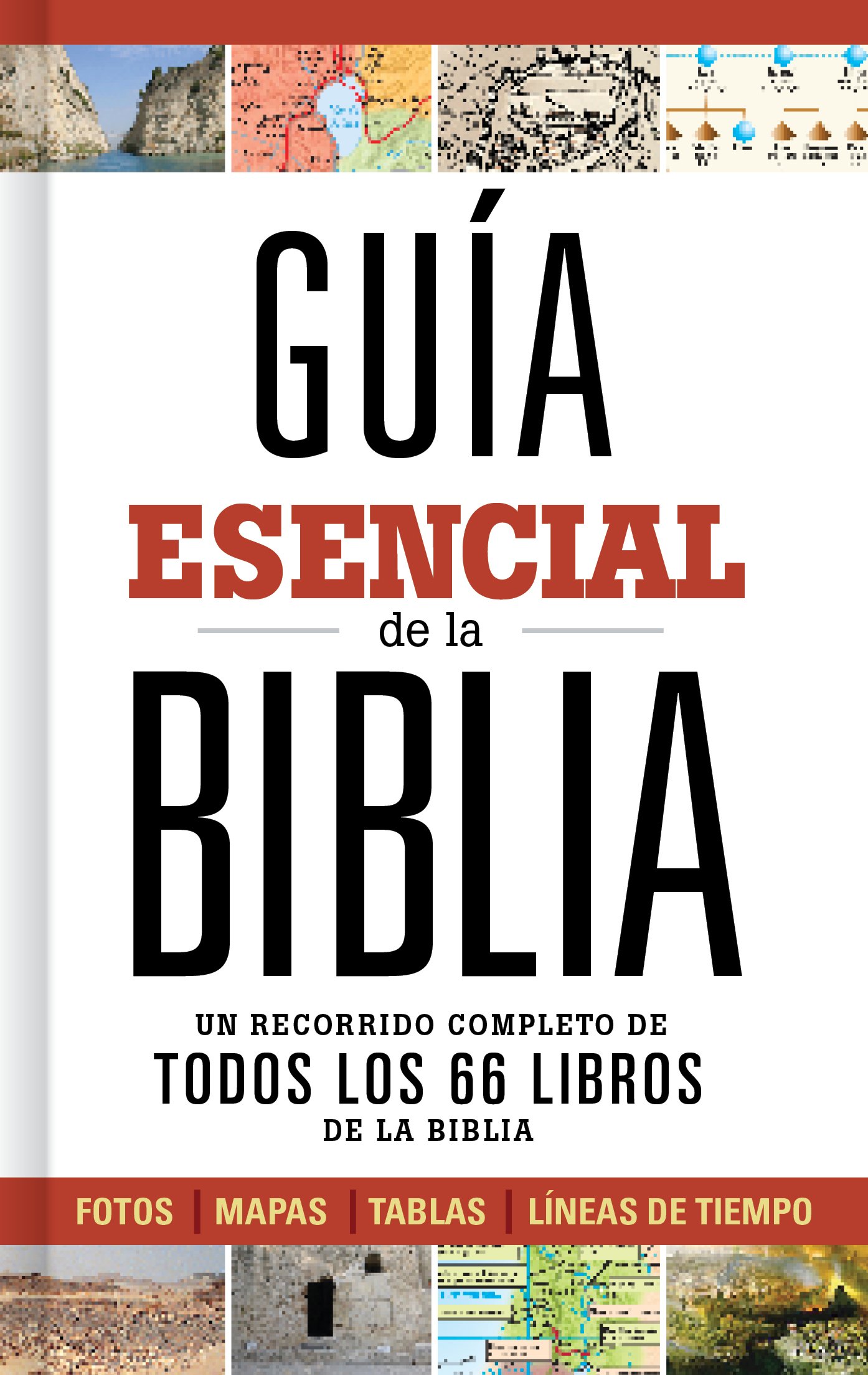 Guía esencial de la Biblia | Ultimate Bible Guide (Spanish Edition)