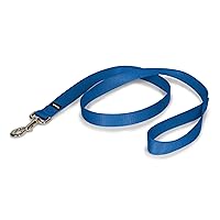 PetSafe Nylon Dog Leash - Strong, Durable, Traditional Style Leash with Easy to Use Bolt Snap - 1 in. x 4 ft., Royal Blue