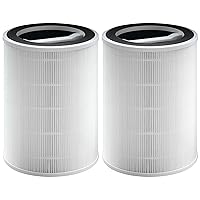 G200S/G200 Filter Replcement, Compatible with Ganiza G200S/G200 Air Purifier, 3-in-1 H13 True HEPA Filter and Pre-Filter, 2 Pack