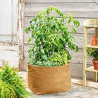 Grow Tubs® Tan Fabric Garden Containers - Heavy Duty containers That Encourage Healthy Roots; 10 Gallon