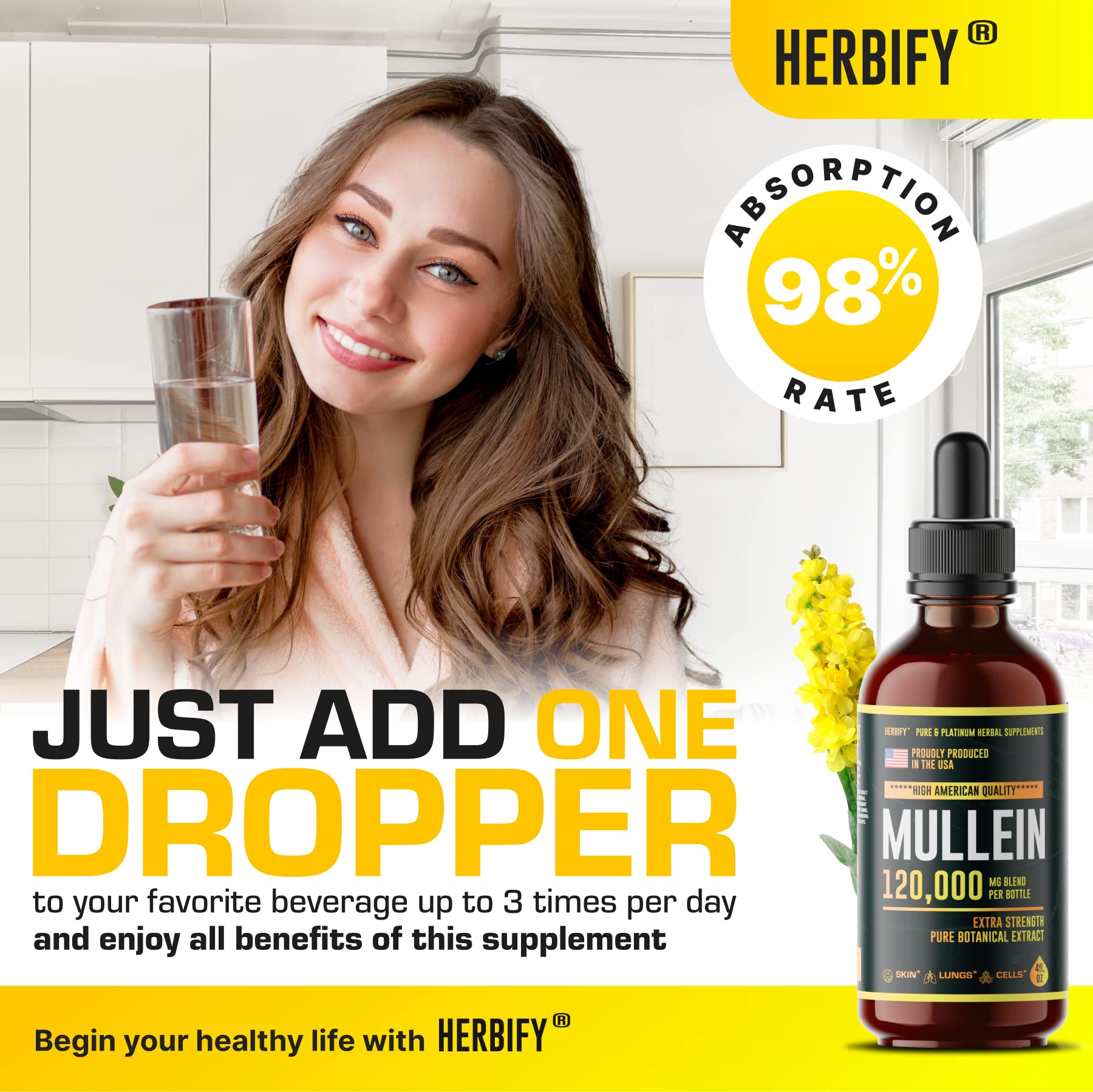 HERBIFY Bundle - Mullein Leaf Extract & Chlorophyll Extract - Respiratory Support & Body Detox