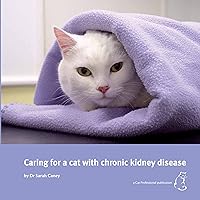 Caring for a cat with chronic kidney disease