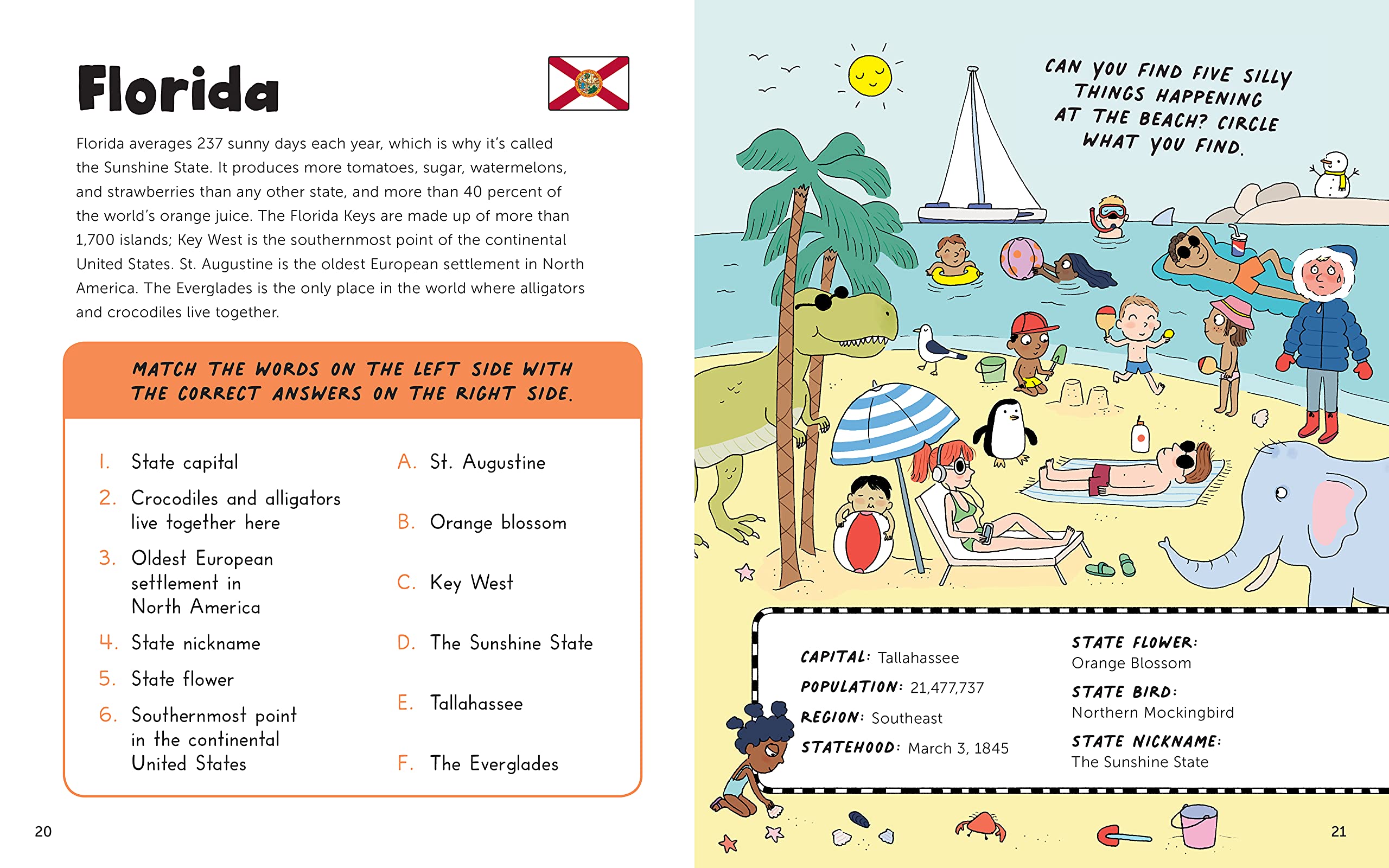 Fun with 50 States: A Big Activity Book for Kids about the Amazing United States