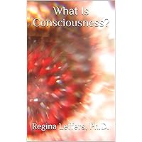 What Is Consciousness? What Is Consciousness? Kindle Audible Audiobook Paperback