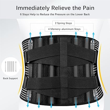 FREETOO Back Braces for Lower Back Pain Relief with 6 Stays, Breathable Back Support Belt for Men/Women for work , Anti-skid lumbar support belt with 16-hole Mesh for sciatica(L)