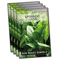 Sow Right Seeds - Viroflay Spinach Seed for Planting - Non-GMO Heirloom Packet with Instructions to Plant a Vegetable Garden - Grow Leafy Green Nutritious Superfood - Hydroponic Growing Friendly (4)
