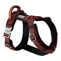 Premium Explorer Harness - Y-Shaped Dog Harness with Adjustable Durable Nylon, Soft Padding, Metal Buckles and Leather Handle for Small, Medium, Large Dogs (Arizona Heartbeat, Size 4)