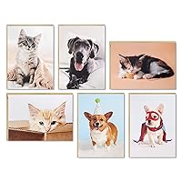 Hallmark Blank Cards Assortment, Dog and Cat Photos (36 Assorted Note Cards with Envelopes)