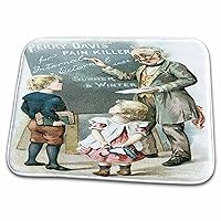 3dRose Perry Davis Pain Killers Teacher and Children - Dish Drying Mats (ddm-169867-1)