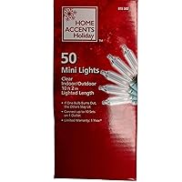 50-mini Lights, Clear String Lights -Green Wire 10 Foot 2 Inches Lighted Length