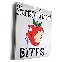 3dRose Funny Awareness Support Cause Stomach Cancer Mean... - Museum Grade Canvas Wrap (cw_120611_1)