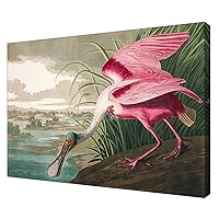 Framed Vintage Bird Wall Art-Roseate Spoonbill Poster For Coastal Home Decor-Audubon Birds of America Canvas Print Picture For Ready To Hang Room/Bathroom/Office Decor