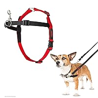 HALTI Front Control Harness - To Stop Your Dog Pulling on the Leash. Adjustable, Lightweight and Easy to Use. Anti-Pull Dog Training Harness for Small Dogs (Size S)